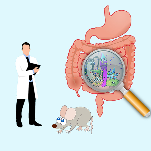 実験的動物研究におけるマウス大腸内視鏡の重要な役割：薬物評価と科学的革新の進歩