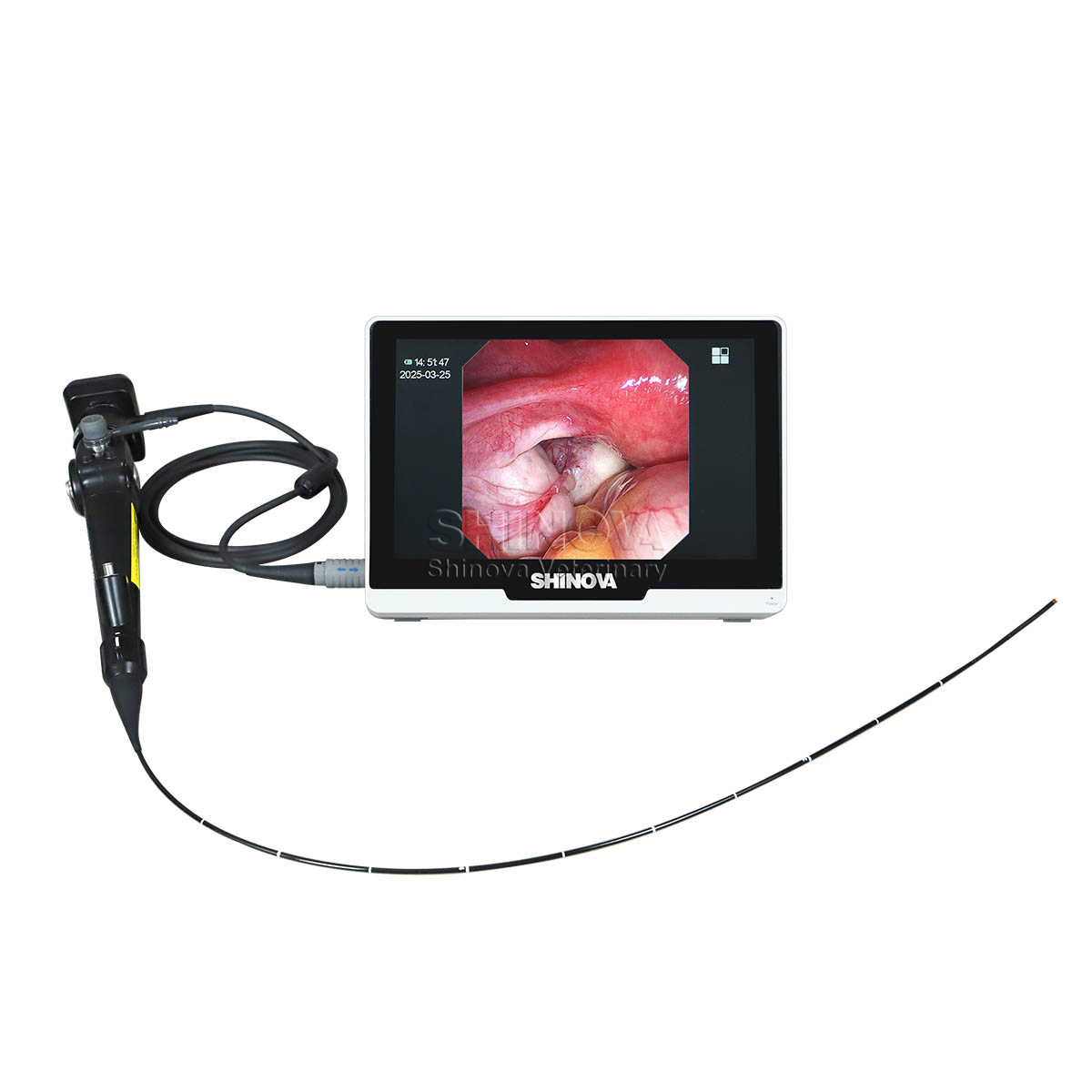 Miniscope2V（1）