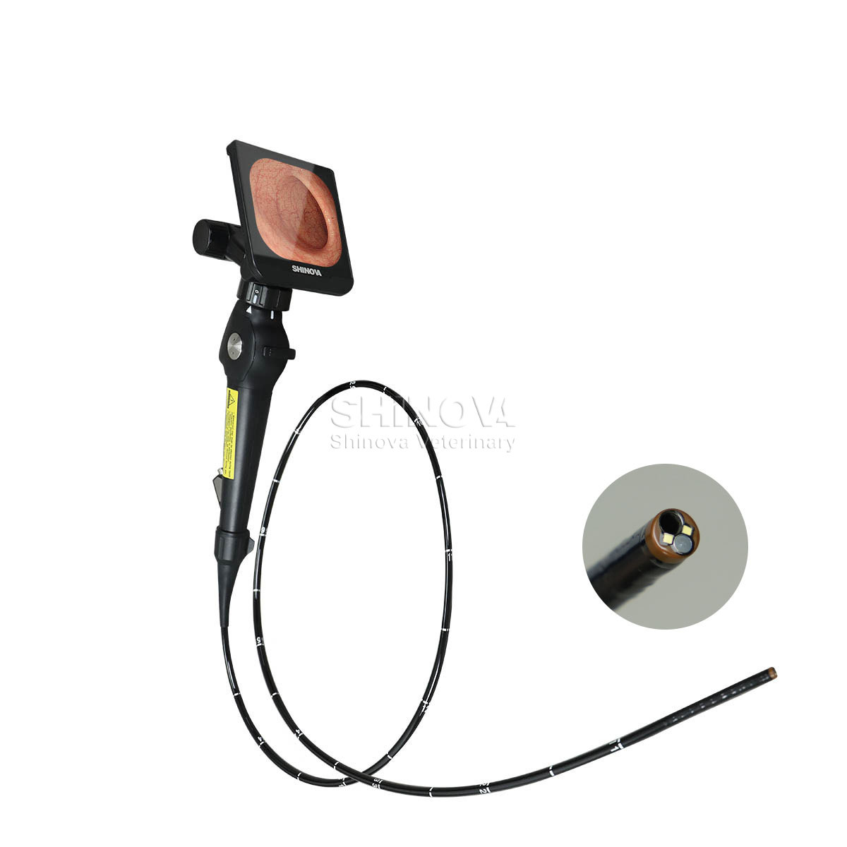 Miniscope 5HP（3）-1