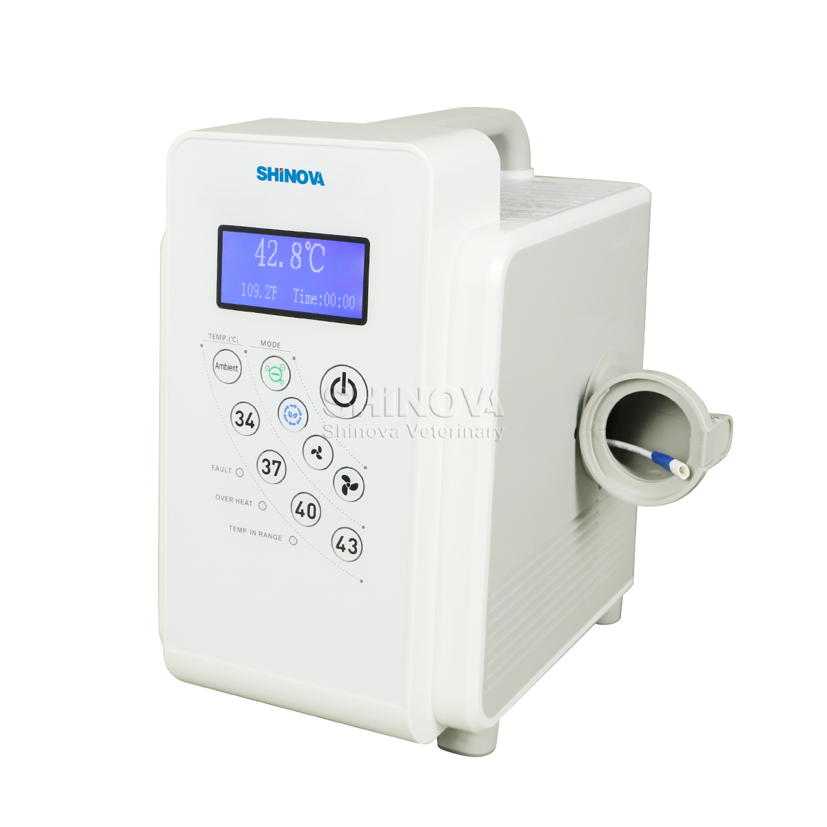 WS-1001（6）